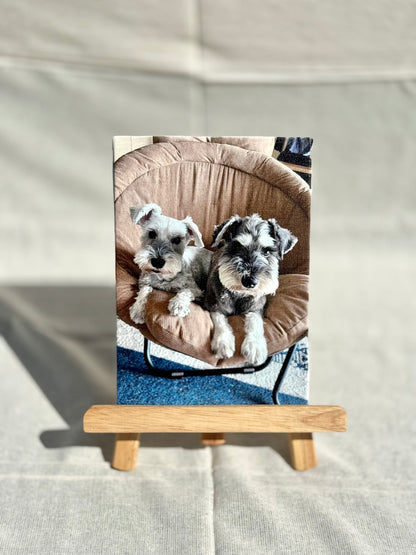 キャンバスプリント（M｜SM）